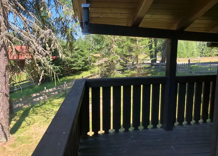 Guenther's Almhuettn Arriach